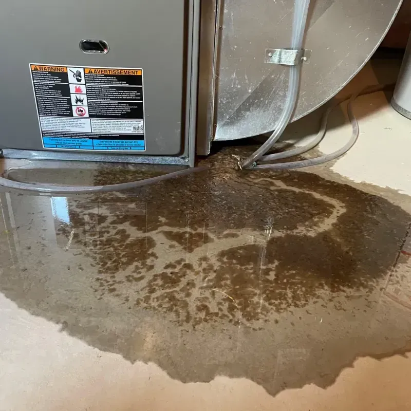 Appliance Leak Cleanup in Havelock, NC